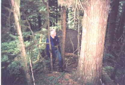 Mountain slope, about 100 foot level. Note the large tank from past logging activity.